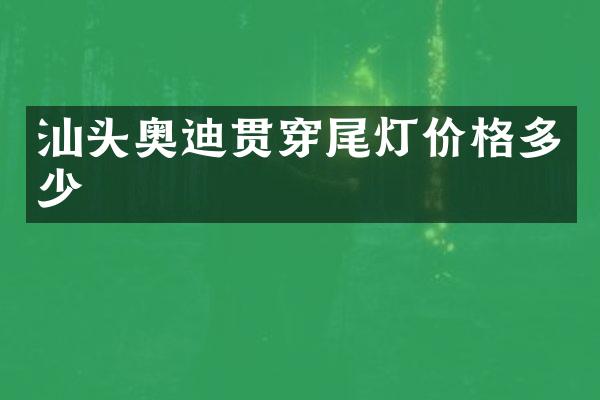 汕头奥迪贯穿尾灯价格多少