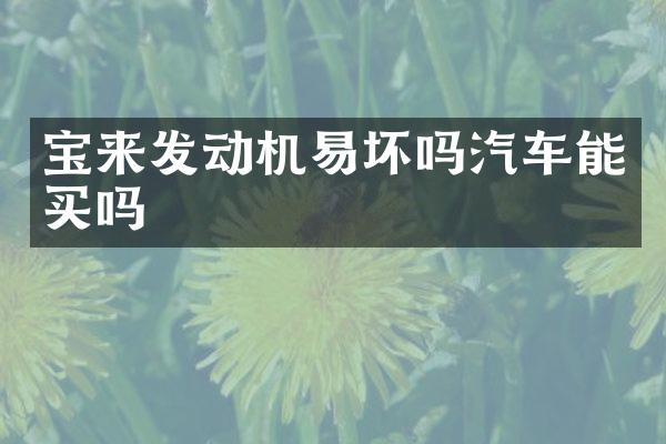 宝来发动机易坏吗汽车能买吗