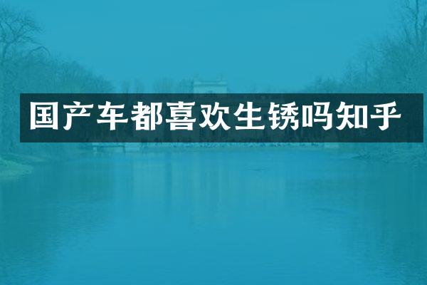 国产车都喜欢生锈吗知乎