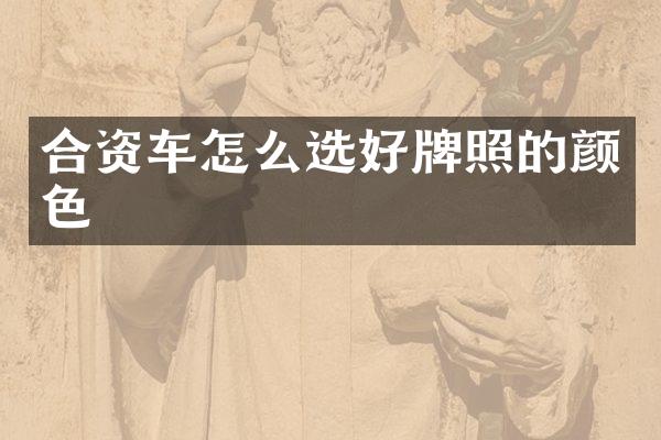 合资车怎么选好牌照的颜色