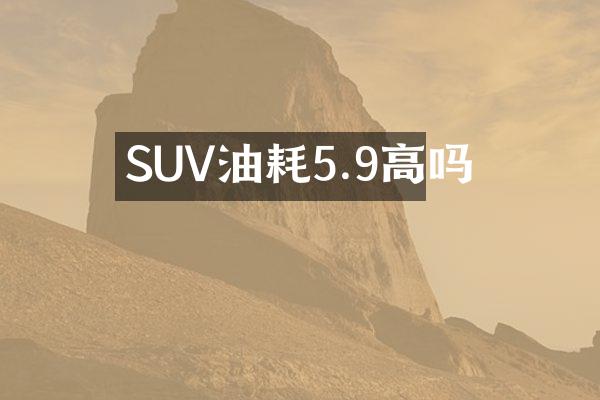 SUV油耗5.9高吗
