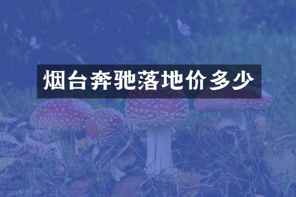 烟台奔驰落地价多少