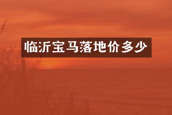 临沂宝马落地价多少