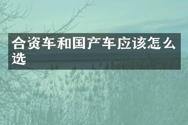 合资车和国产车应该怎么选