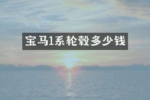 宝马1系轮毂多少钱