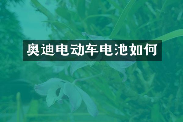 奥迪电动车电池如何