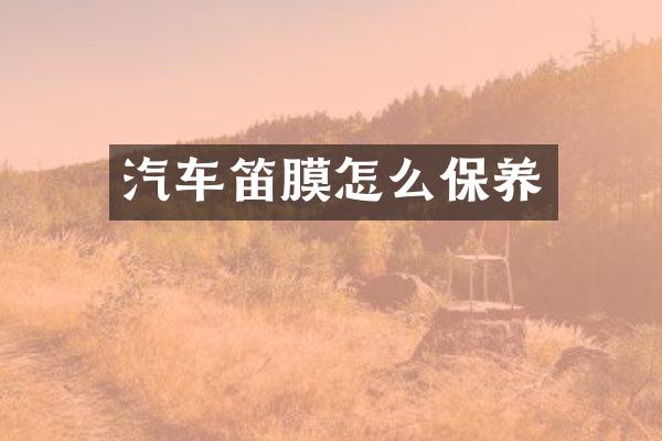 汽车笛膜怎么保养