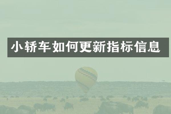 小轿车如何更新指标信息