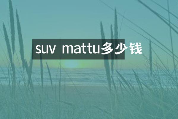 suv mattu多少钱