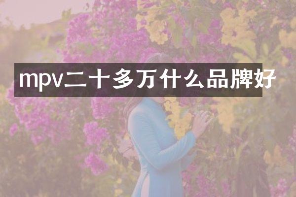mpv二十多万什么品牌好