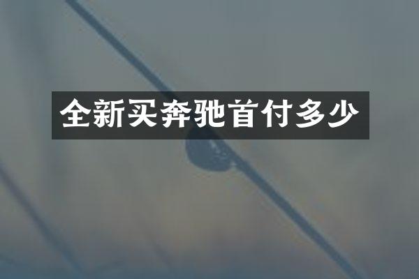 全新买奔驰首付多少