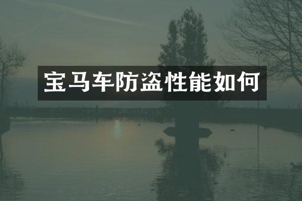 宝马车防盗性能如何