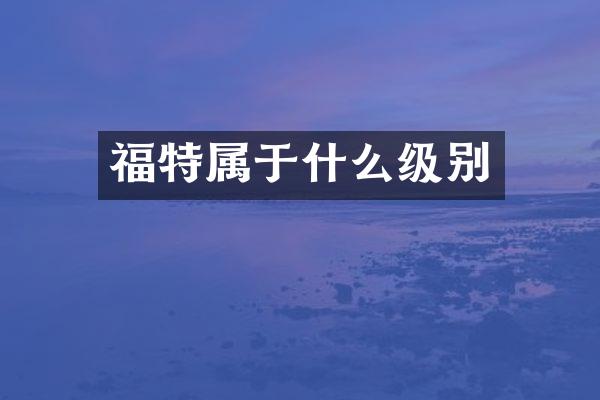福特属于什么级别