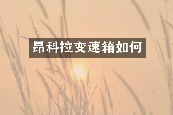 昂科拉变速箱如何