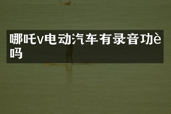 哪吒v电动汽车有录音功能吗