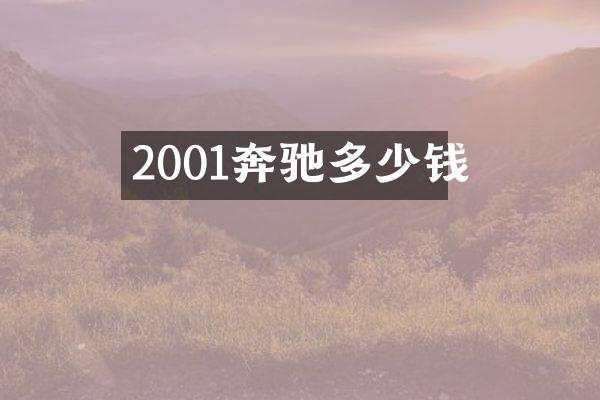 2001奔驰多少钱