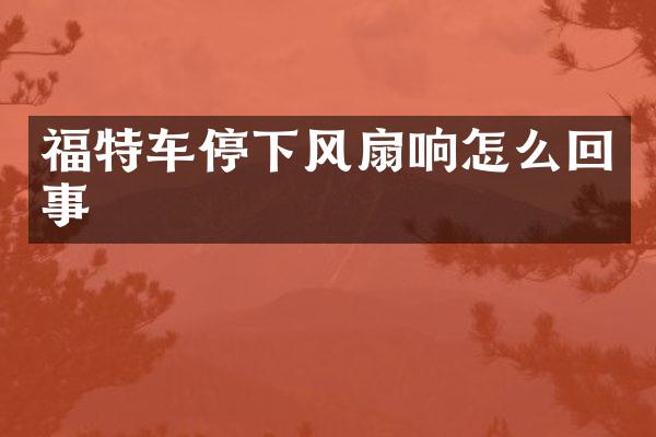 福特车停下风扇响怎么回事