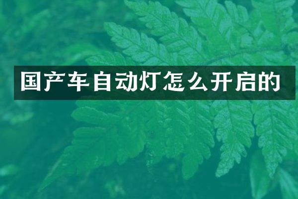 国产车自动灯怎么开启的