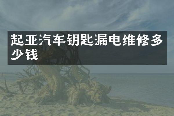 起亚汽车钥匙漏电维修多少钱