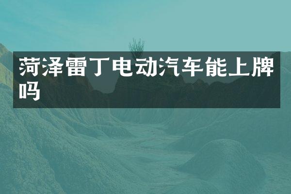菏泽雷丁电动汽车能上牌吗