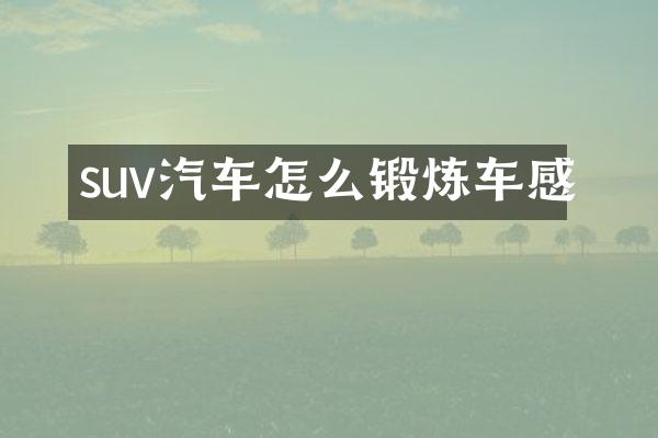 suv汽车怎么锻炼车感