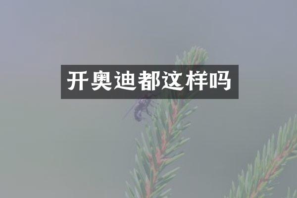 开奥迪都这样吗