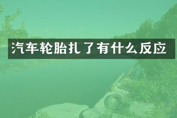 汽车轮胎扎了有什么反应