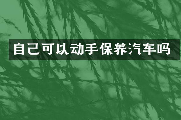 自己可以动手保养汽车吗