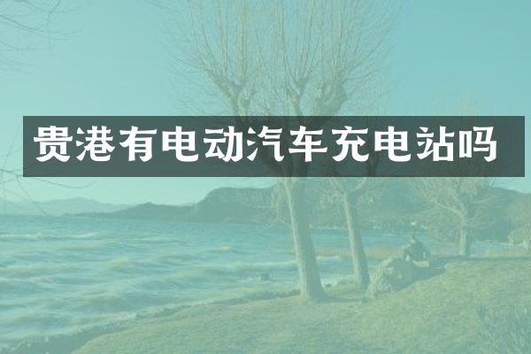 贵港有电动汽车充电站吗