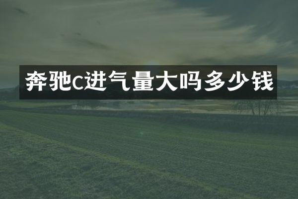 奔驰c进气量大吗多少钱
