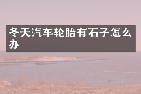 冬天汽车轮胎有石子怎么办
