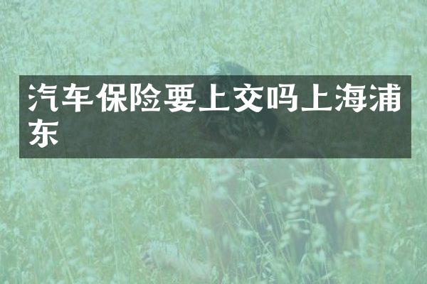 汽车保险要上交吗上海浦东