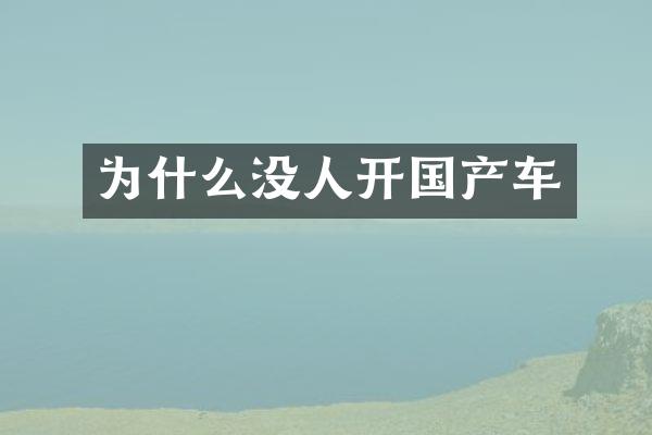 为什么没人开国产车
