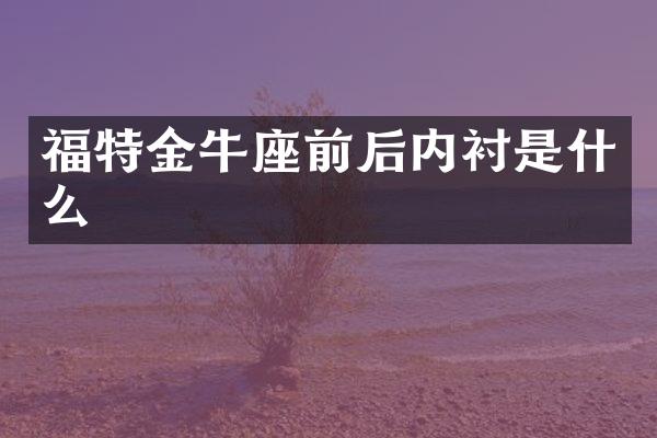 福特金牛座前后内衬是什么