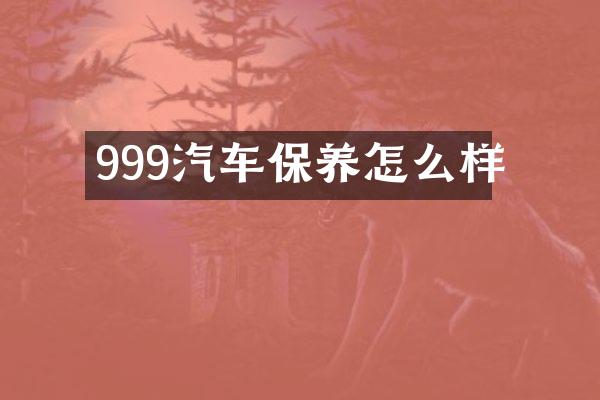 999汽车保养怎么样