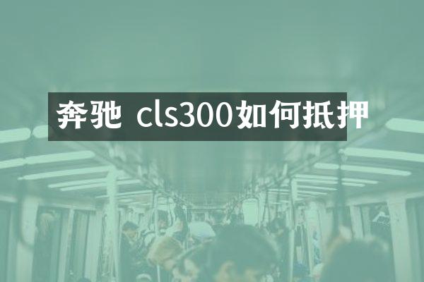 奔驰 cls300如何抵押