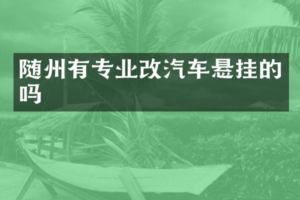 随州有专业改汽车悬挂的吗