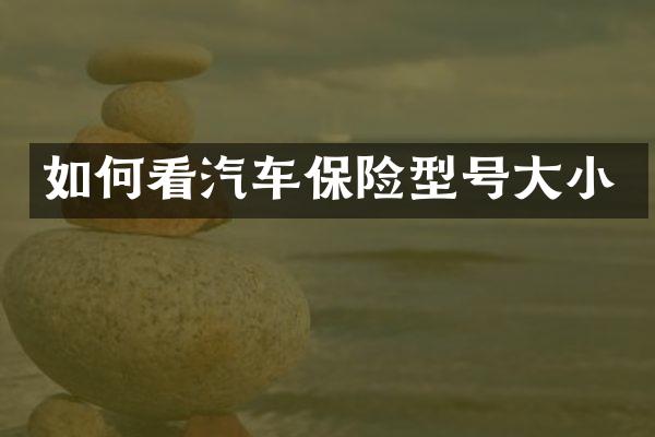 如何看汽车保险型号大小