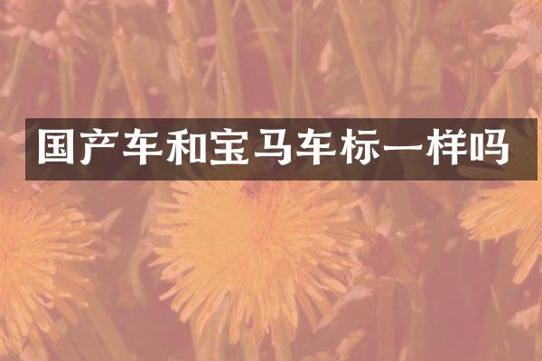 国产车和宝马车标一样吗