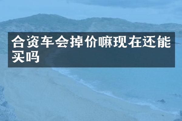 合资车会掉价嘛现在还能买吗