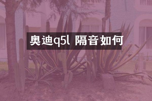 奥迪q5l 隔音如何
