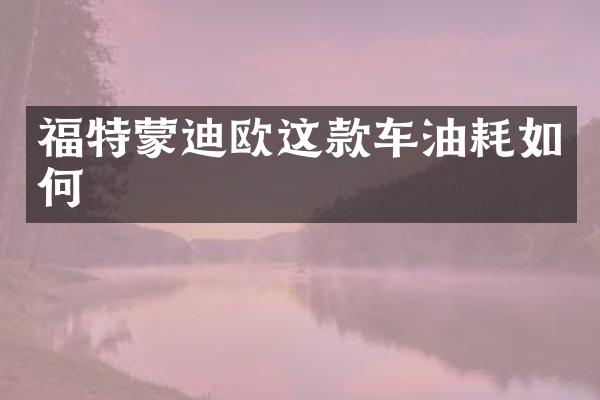 福特蒙迪欧这款车油耗如何