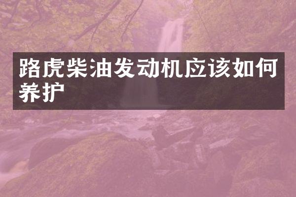 路虎柴油发动机应该如何养护