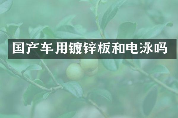 国产车用镀锌板和电泳吗