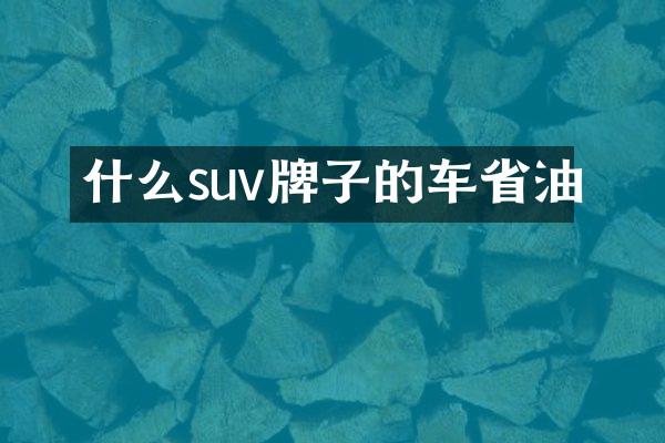 什么suv牌子的车省油
