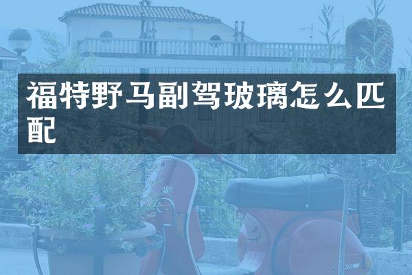 福特野马副驾玻璃怎么匹配