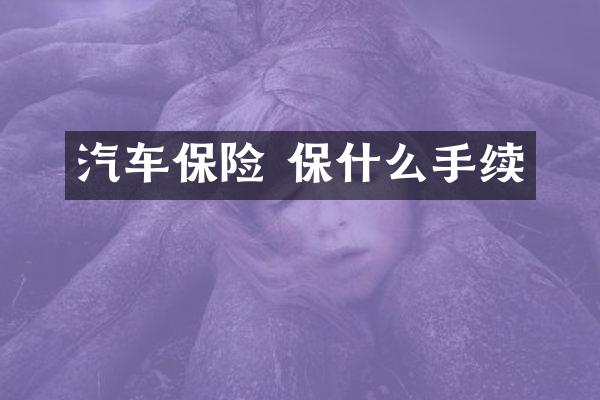汽车保险 保什么手续