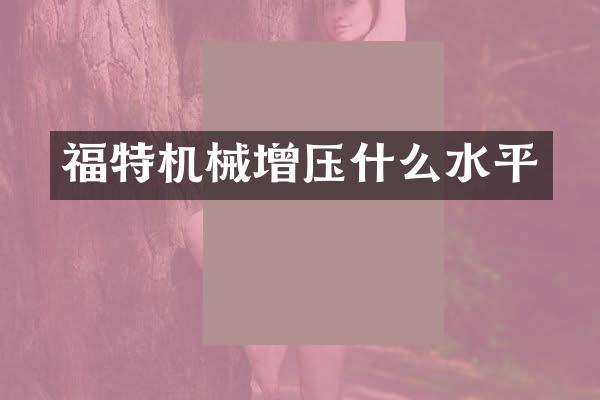 福特机械增压什么水平