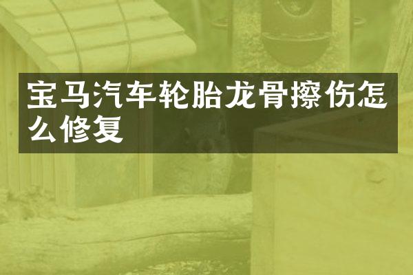 宝马汽车轮胎龙骨擦伤怎么修复