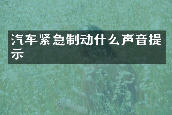汽车紧急制动什么声音提示